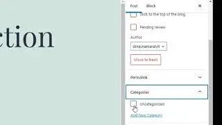 Wordpress Posts Categories and Tags (Web Analytics Module)