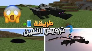 كيف تفقس بيضة التنين في ماين كرافت 🤯 | How to hatch a dragon egg in Minecraft