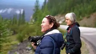 Jasper Summer Wildlife Tour