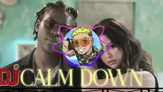 Rema, Selena Gomez - Calm Down(FREEBOT Dj REMIX) 