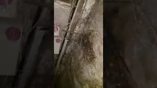 Аварийное жилое общежитие. Г кокшетау