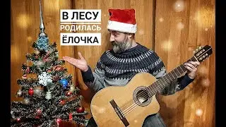В лесу родилась ёлочка