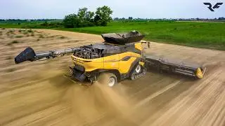 | FIRST Cr11 in EUROPE| New Holland Cr11 & MacDon FD 245 13.7 Metri| Trebbiatura Grano 2024| Rosina|