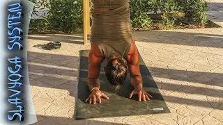 Пинча майюрасана (стойка на предплечьях) ⚡ Асаны йоги ⭐ SLAVYOGA