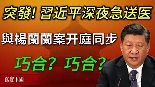 习近平深夜突入301医院会诊，上海三顶级专家紧急进京，与杨兰兰案开庭同日巧合？