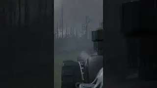 How to Summon a Bear in DayZ 