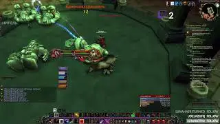 WoW classic stream Feral Druid