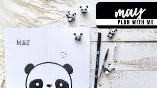 PLAN WITH ME | May 2020 Bullet Journal Setup | Panda