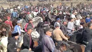 Toyni egasi kim boʻladi