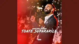 Toate Supararile (Remix)