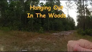 Hanging Out In The Woods