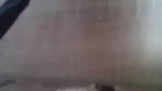 "Я твой ласковий зверь" клип!!🌈