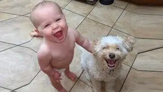 Bebés y Perros: La Comedia Más Linda de la Historia