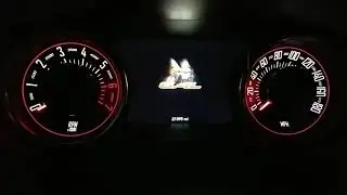 Scat Pack Animation in Slow Motion