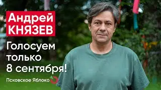 Андрей Князев. Голосуем только 8 сентября! / кандидаты Псковского «Яблока»