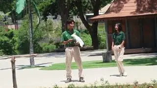 Animal Show Solo Safari - Taman Safari Indonesia