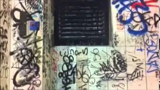 Sneaky Dee's washroom graffiti