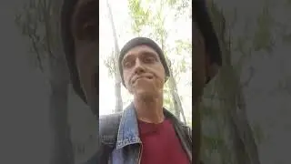 В лесу за грибами. Вдвоем