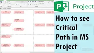 How to see Critical Path in MS Project | critical path not showing ?