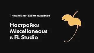 Настройки Miscellaneous в FL Studio • Курс «FL Studio Мастер» • THETUNES.RU
