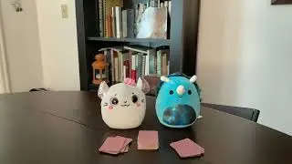 Math in Real Life for Kids! Playing Cards!