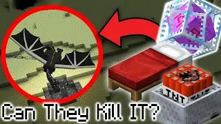 3 Bizarre Ways to Kill the Ender Dragon | TNT Minecarts, End Crystals, Beds