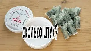 ОРИГИНАЛЬНЫЙ СНЮС Odens Cold Dry White Portion 10гр