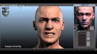 Snappers Facial Rig