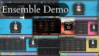 Virharmonic Strings — Musical Ensemble Demo (Bohemian & Prim)