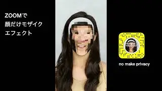 ズーム モザイク ノーメイク プライバシー zoom meet no make privacy make up