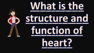 What is the structure and function of heart ?  | Health FAQS for Better Life