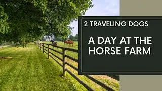 Being There…On The Farm