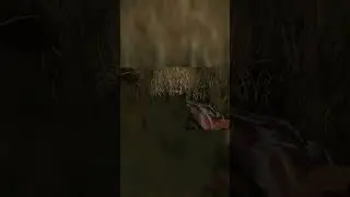 Самый бесполезный тайник на Затоне 