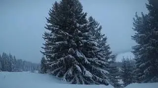 Зима в сердце 💓