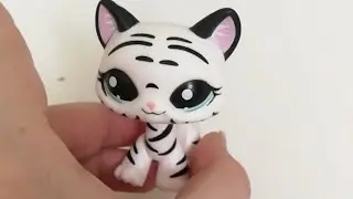 Первый Стрим