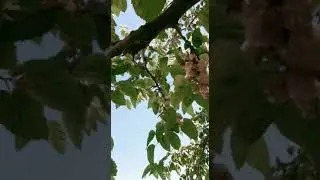 6 июня 2020 г.