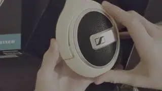 Amor, odio y la cruda realidad | Sennheiser HD 599 | Reseña corta