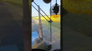 Новый сезон открыт