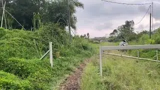 Dikota mana ada suara seperti ini