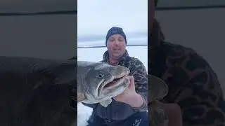 #icefishing #wales