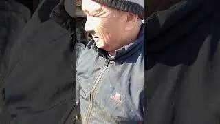 от чая не откажется
