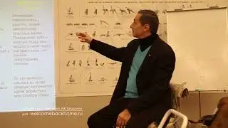 Даже без него хорошо 04