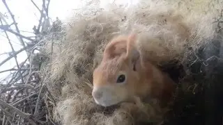 Такое чудо за окном:)