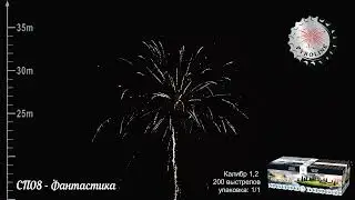 СП08   Фантастика