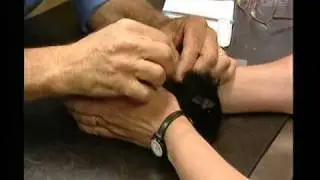Harry's Practice Surgery - Merlin the guinea pig