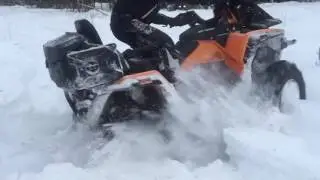 Стелс гепард и чуток снежка :)