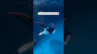 Snorkeling in one of the most beautiful places in the world 😍 | 