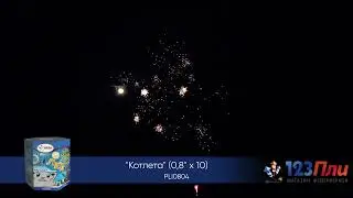 PLI0804 котлета