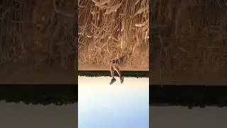 Больше идей в профиле