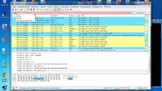 wb124 практика по WireShark